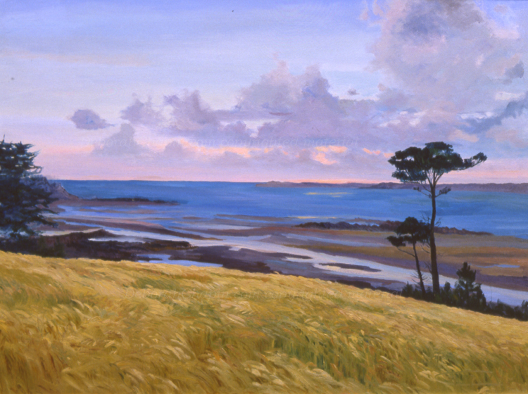At Dawn, 30x40, plein air painting, painted on location by Deborah Chapin