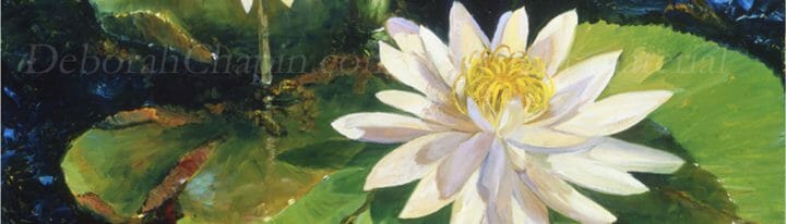 White Water Lillies museum floral art by Deborah Chapin