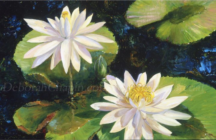 White Water Lilies Original Oil Painting, Floral Art, Plein air painting