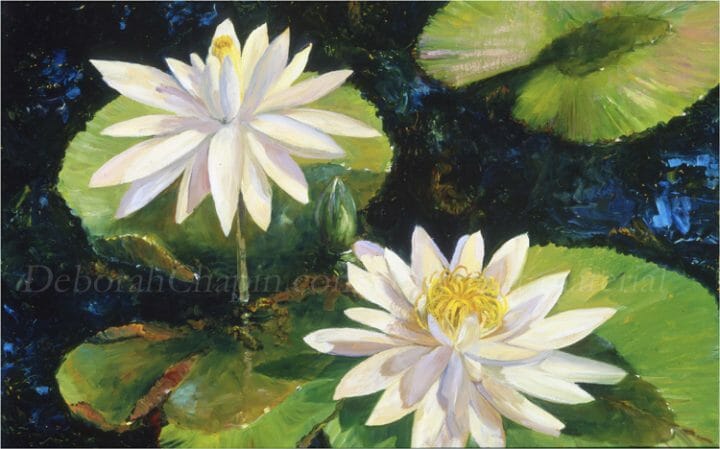 White Water Lilies Original Oil Painting, Floral Art, Plein air painting