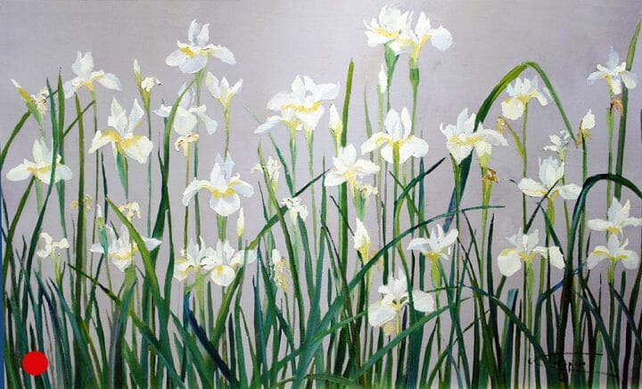 White Flower Paintings , Japanese White irises, floral artwork canvas museum piece