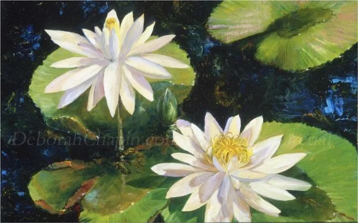 Floral artwork original oil, White Water Lilies, museum piece