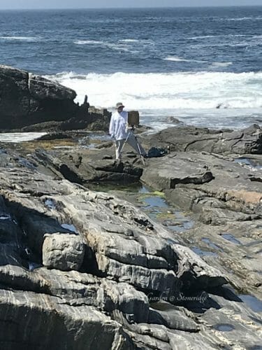 Plein Air Painters of Maine Pemaquid Point Paintout August 2020