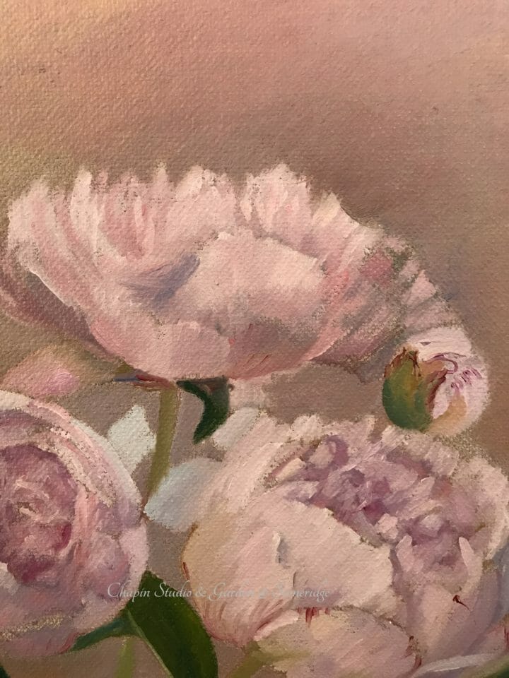 Peonies, pink cream floral painting by Deborah Chapin Closeup 3