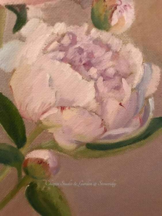 Peonies, pink cream floral painting by Deborah Chapin closeup 2