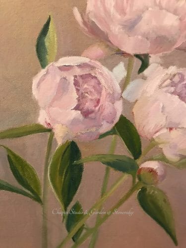 Peonies, pink cream floral painting by Deborah Chapin closeup 1
