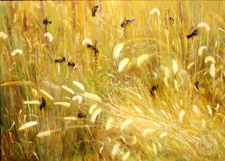 Rustic Decor, Wild Wheat and Red Wing Black Birds, 18x24 oil on linen by Deborah Chapin