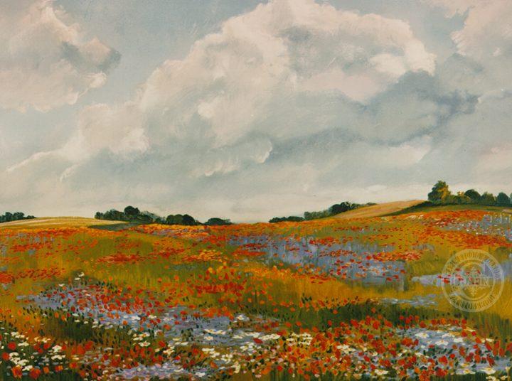 Landscape Original Print Lithograph Poppies Wildflowers ~ Chapin