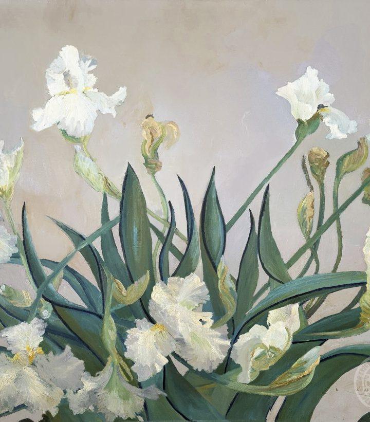 White Irises, Floral Art, The original painting is available, was painted on a prepared background after a rain. Large bearded white iris weighted down with rain.   Having been tossed about from the storm, continues to bloom and produce flowers on the weather worn stalks bent and twisted. Contact Us About This Piece please include the title in your subject line.