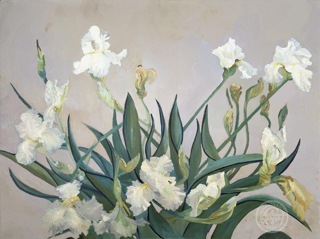Floral Art, White Irises, flower artwork by Deborah Chapin