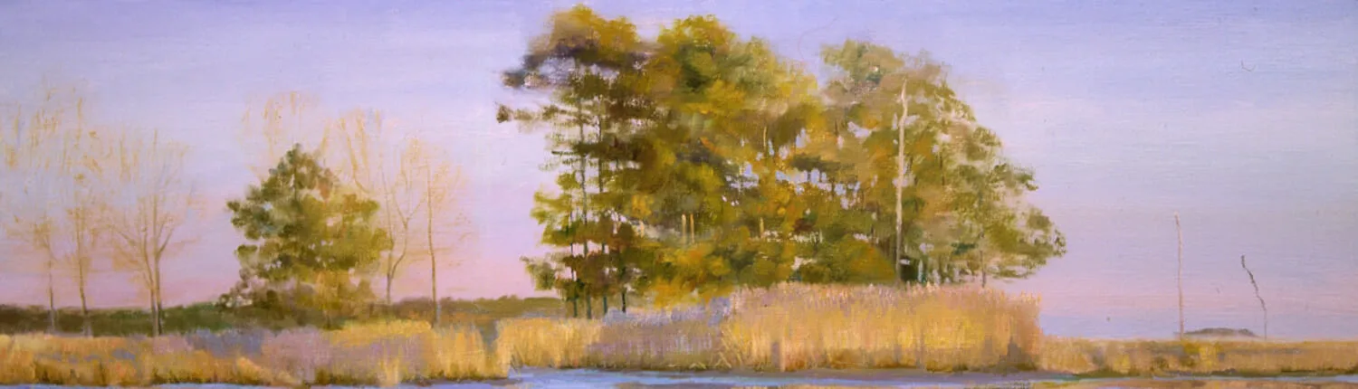Winner of the inaugural Paint America Competition. A part of the wetland series painting from the Chesapeake Bay. Capturing this area at its prime